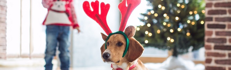 It's Almost Time For Holiday Parties: How Do Your Plan Yours?