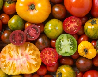 The Refreshing Summer App That Is the Heirloom Tomato Flight