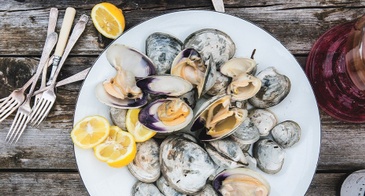 clams
